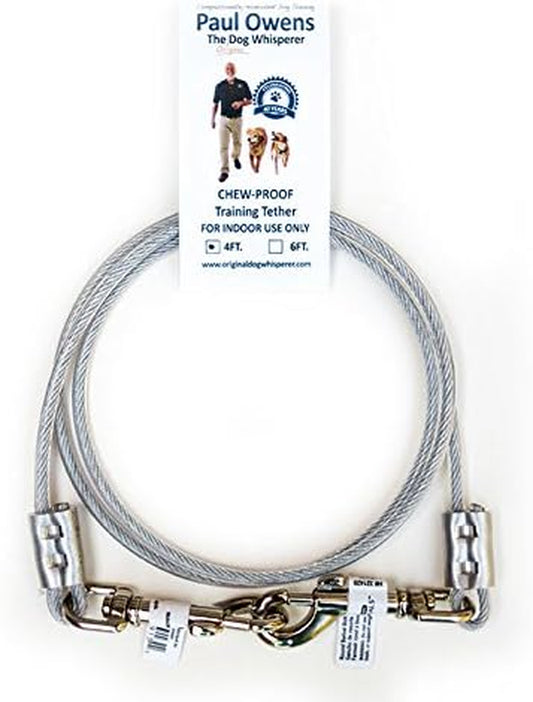 Paul Owens Chew-Proof Training Tether for Dogs & Puppies (4-Ft. - 2 Pack)