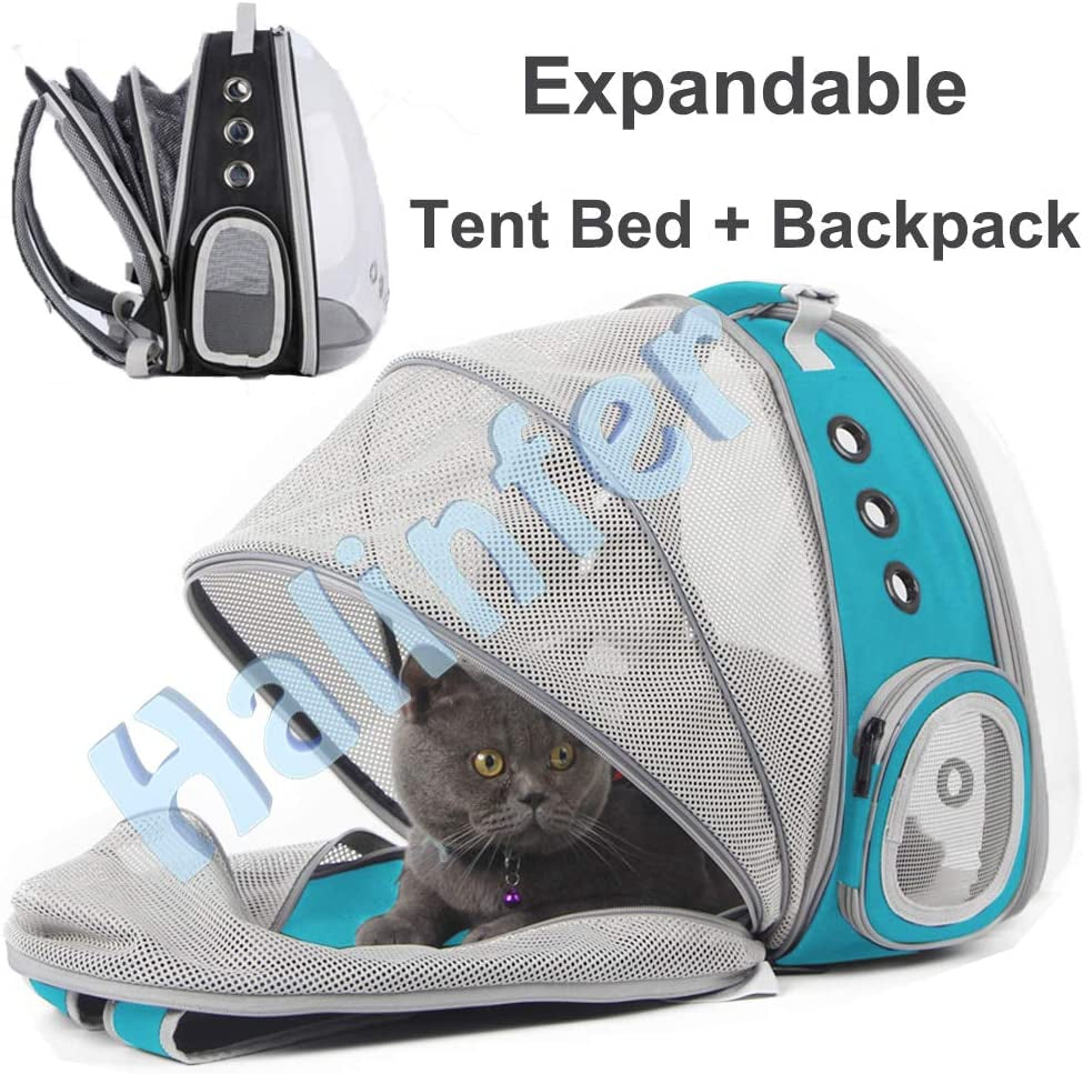 Cat Travel Backpack with Fan, Fit up to 20 Lbs, Space Capsule Astronaut Clear Bubble Window Pet Backpack for Kitten and Small Puppy (Green, Back Extension + Fan)